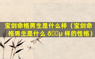 宝剑命格男生是什么样（宝剑命格男生是什么 🐵 样的性格）